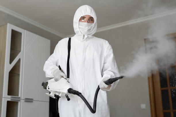 Best Biohazard Mold Removal  in USA